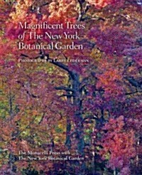 Magnificent Trees of the New York Botanical Garden (Hardcover)