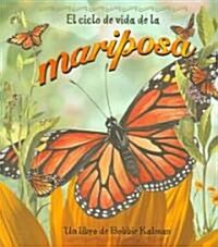 El Cido de Vida de la Mariposa = Life Cycle of a Butterfly (Hardcover)