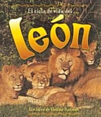 El Ciclo de Vida del Le? (the Life Cycle of a Lion) (Library Binding)