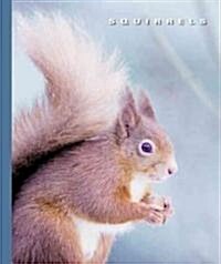 Squirrels (Hardcover)