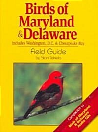 Birds of Maryland & Delaware Field Guide: Includes Washington, D.C. & Chesapeake Bay (Paperback)
