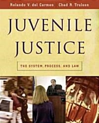 Juvenile Justice: The System, Process and Law (Hardcover)