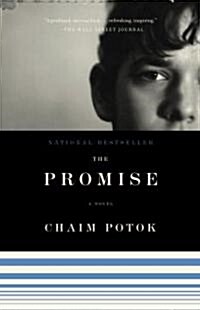 The Promise (Paperback)