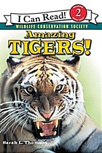 Amazing Tigers! (Paperback)