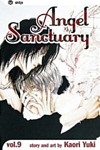 Angel Sanctuary, Vol. 9 (Paperback)