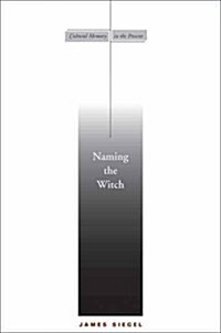 Naming The Witch (Hardcover)