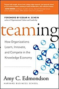 Teaming: How Organizations Learn, Innovate, and Compete in the Knowledge Economy (Hardcover)