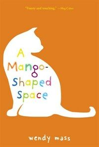 A Mango-Shaped Space (Paperback)