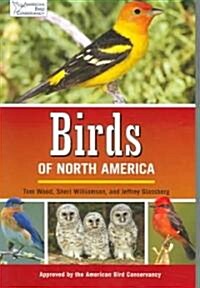 Birds of North America (Paperback)