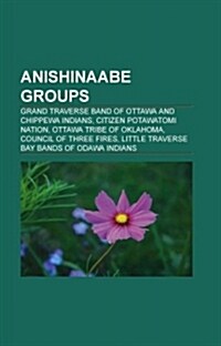 Anishinaabe Groups (Paperback)