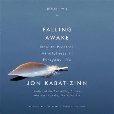 Falling Awake: How to Practice Mindfulness in Everyday Life (Audio CD)