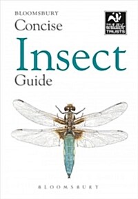 Concise Insect Guide (Paperback, Concise)