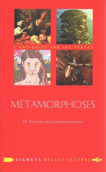 Metamorphoses: DActeon Au Posthumanisme (Paperback)
