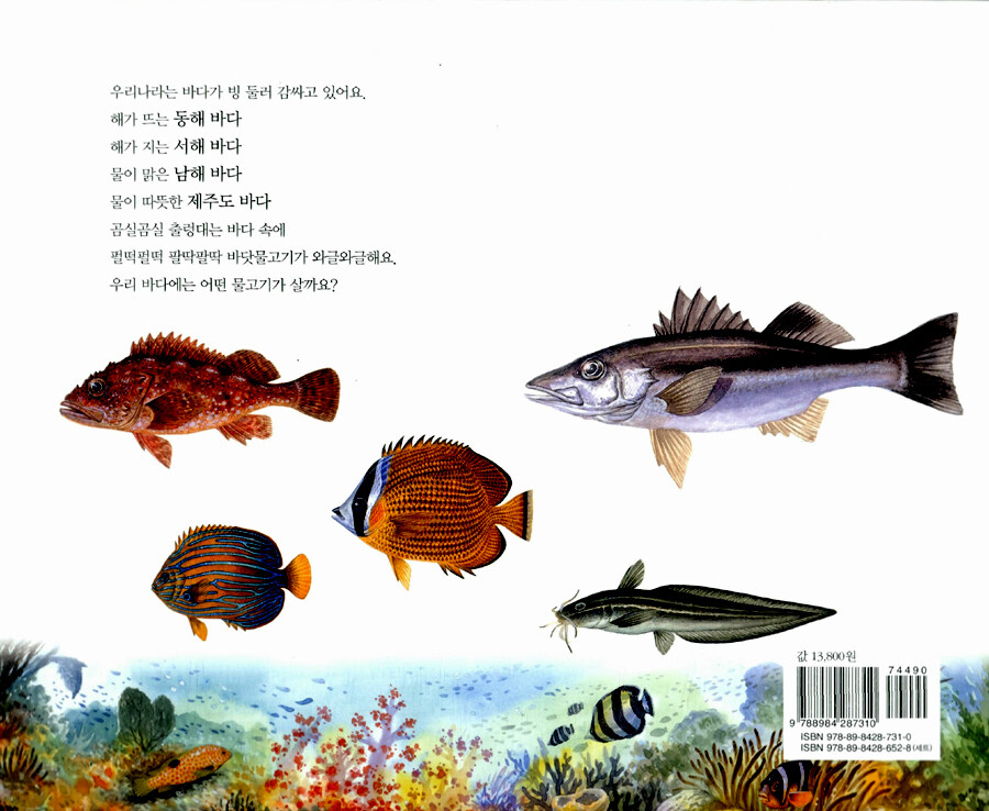 알라딘: 미리보기 - 잘방잘방 제주 바다 물고기