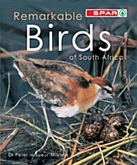 Remarkable Birds of South Africa (Paperback)