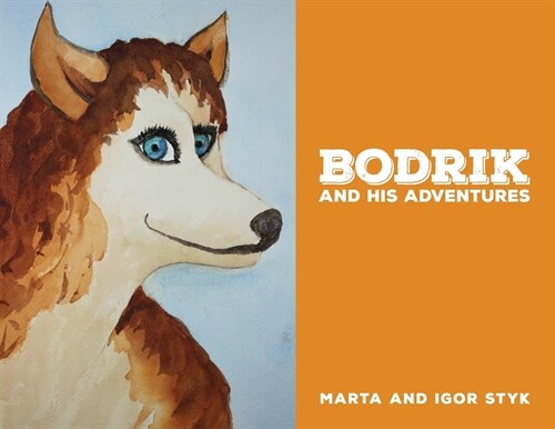 Bodrik and His Adventures (Paperback)