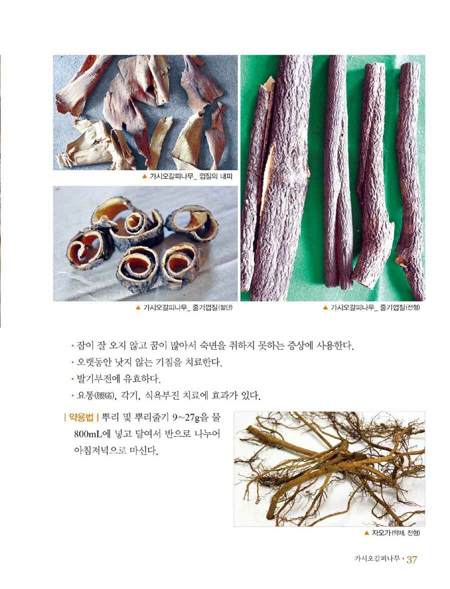 알라딘: 미리보기 - 한국의 약초