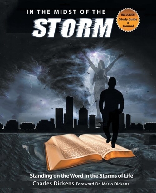 In the Midst of the Storm (Paperback)