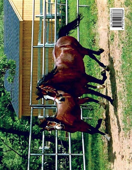 The Lippitt Morgan Horse: Volume 1 (Paperback)