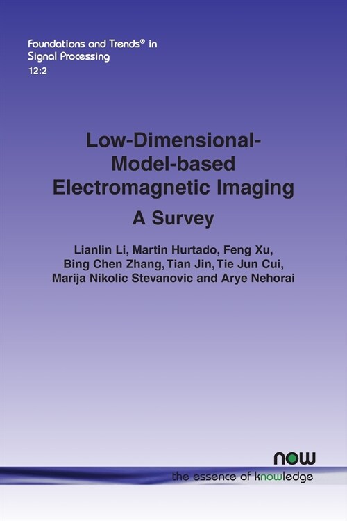 Low-Dimensional-Model-Based Electromagnetic Imaging: A Survey (Paperback)