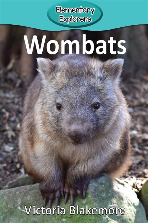 Wombats (Paperback)