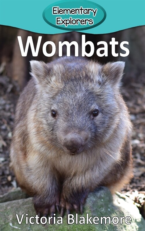 Wombats (Hardcover)