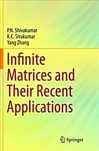 Infinite Matrices and Their Recent Applications (Paperback)