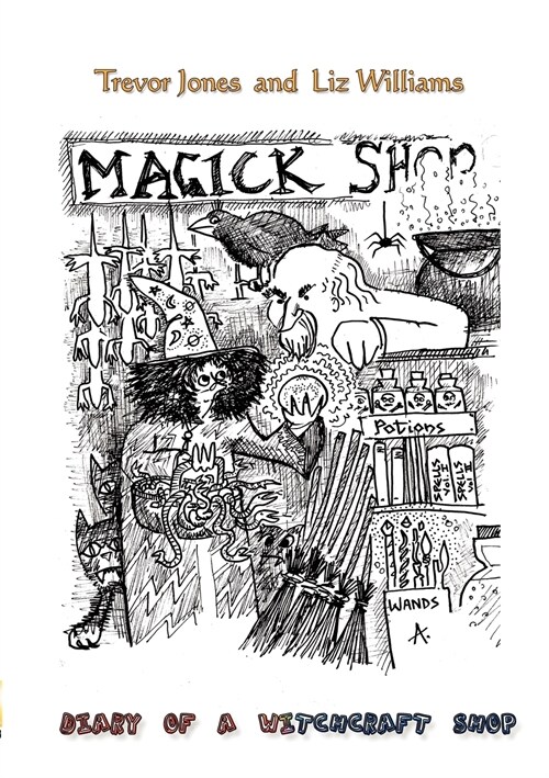 Diary of a Witchcraft Shop (Paperback)