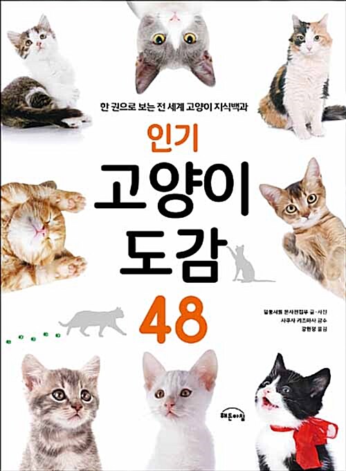 [중고] 인기 고양이 도감 48