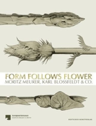 Form Follows Flower: Moritz Meurer, Karl Blossfeldt & Co. (Hardcover)