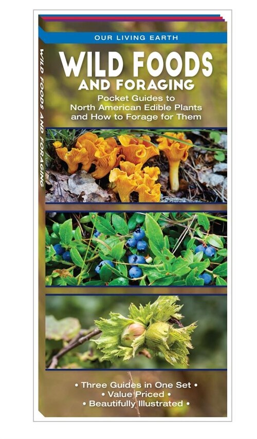 Wild Foods and Foraging: Pocket Guides to North American Edible Plants and How to Forage for Them (Paperback)