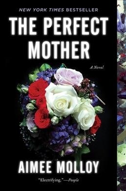 The Perfect Mother (Paperback)