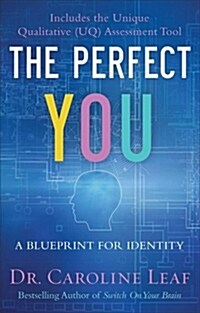 The Perfect You: A Blueprint for Identity (Paperback)