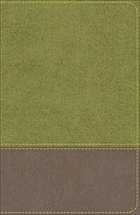 KJV Study Bible for Boys Olive/Brown Leathertouch (Imitation Leather)