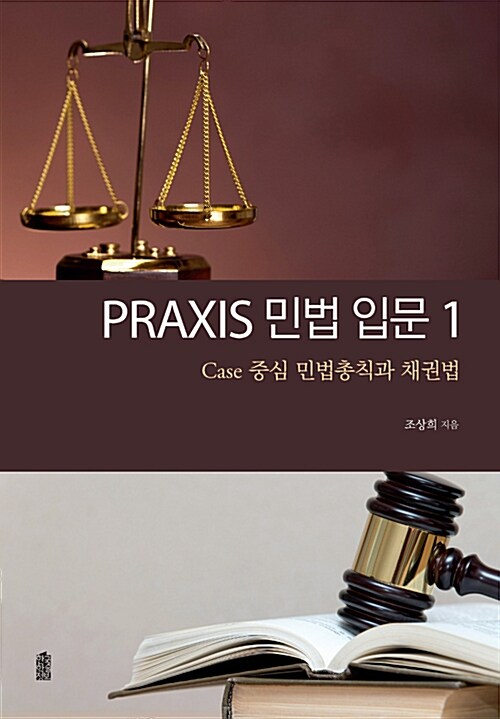 PRAXIS 민법 입문 1
