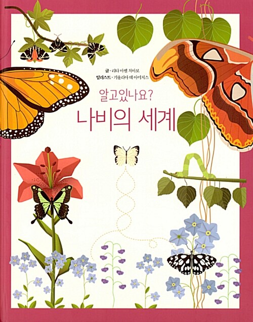 (알고있나요?) 나비의 세계/ 김지연 옮김