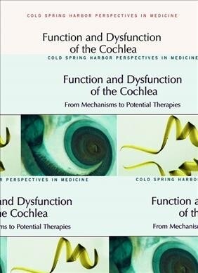 Function and Dysfunction of the Cochlea: From Mechanisms to Potential Therapies (Hardcover)