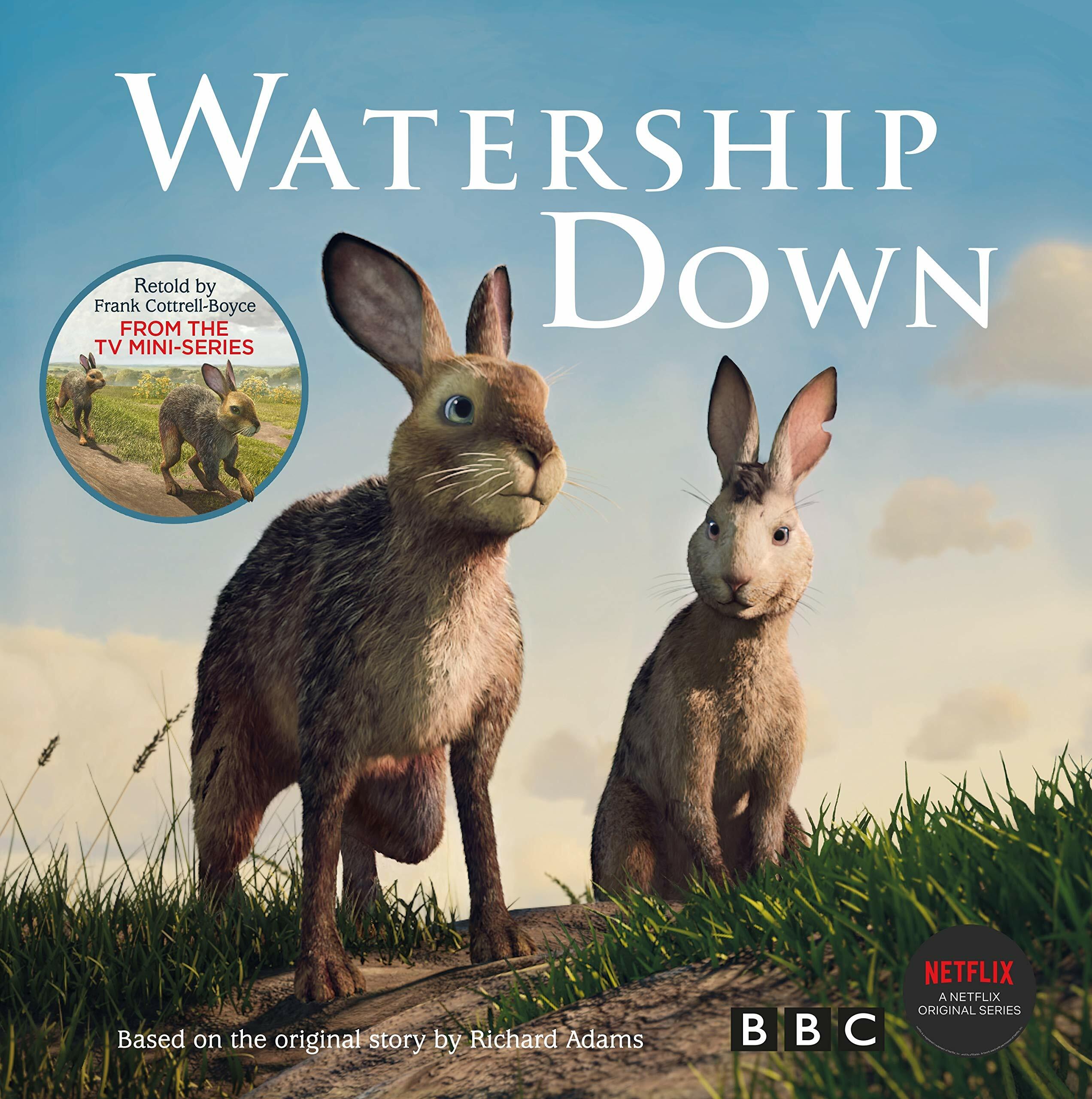 Watership Down : Gift Picture Storybook (Paperback)