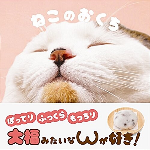 [중고] ねこのおくち (單行本(ソフトカバ-))