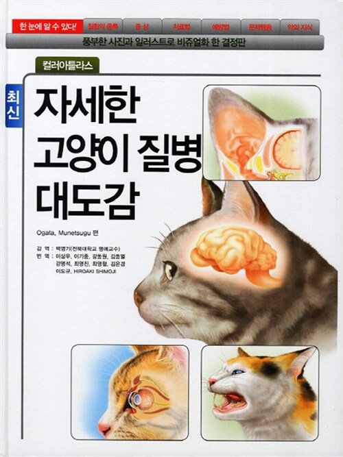[중고] 최신 자세한 고양이 질병 대도감
