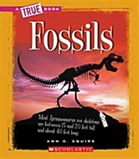 Fossils (a True Book: Earth Science) (Paperback)