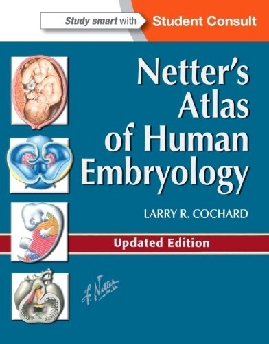 Netters Atlas of Human Embryology : Updated Edition (Paperback, Revised ed)
