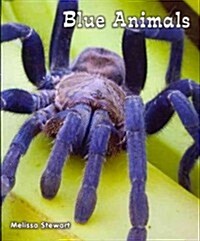 Blue Animals (Paperback)