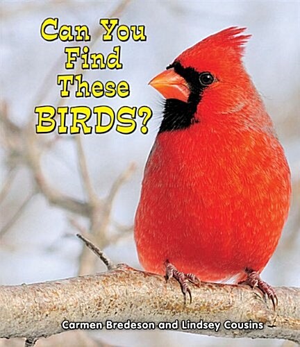 Can You Find These Birds? (Paperback)