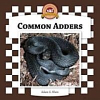 Common Adders (Library Binding, Anniversary)