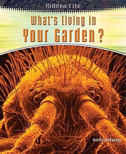 Whats Living in Your Garden? (Paperback, Illustrated)