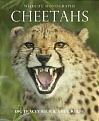 Cheetahs (Paperback)