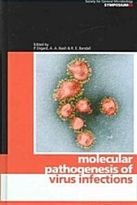 Molecular Pathogenesis of Virus Infections (Hardcover)
