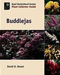 Buddlejas (Hardcover)