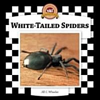 White-Tailed Spiders (Library Binding, Anniversary)